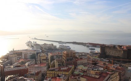 Port of Naples and Castel