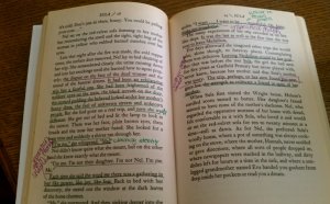 African American Novel
