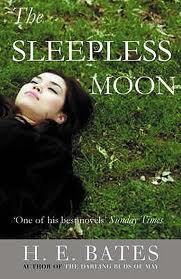 the sleepless moon.jpg